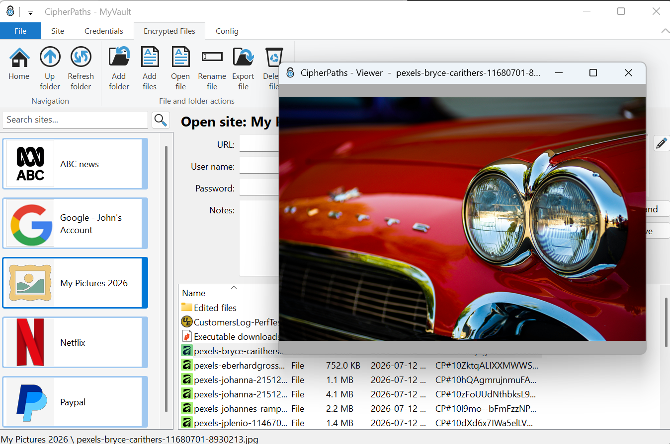 Image viewer window
