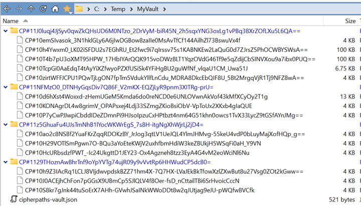 Windows Explorer showing the encrypted vault with random file names